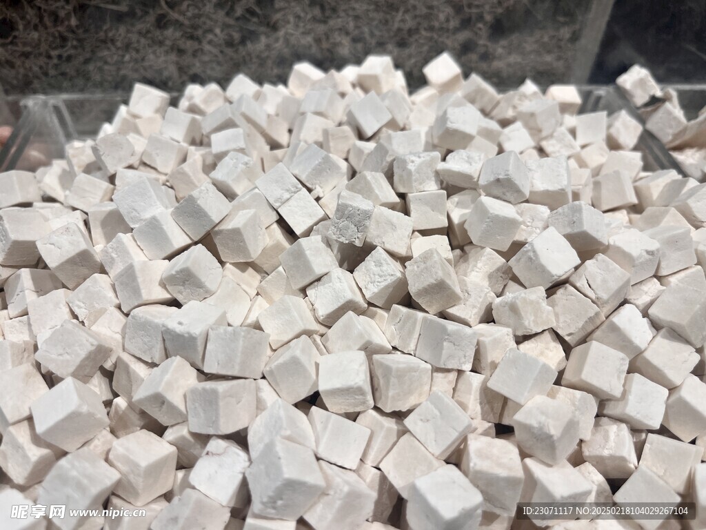 茯苓