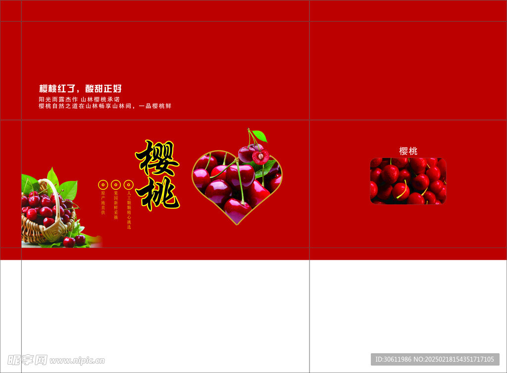 樱桃包装 平面展开图