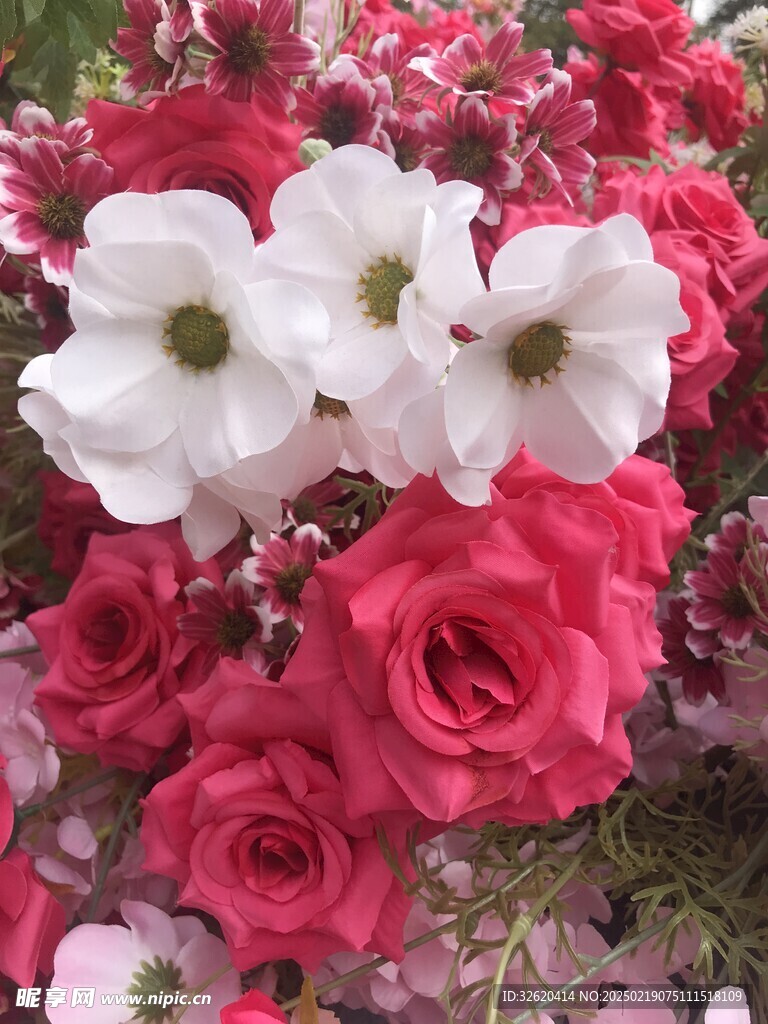 玫瑰