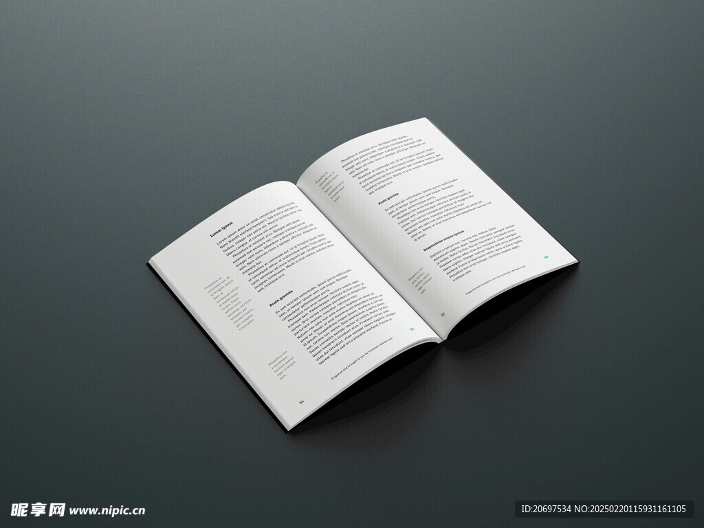 书籍样机