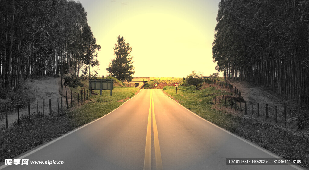 笔直公路