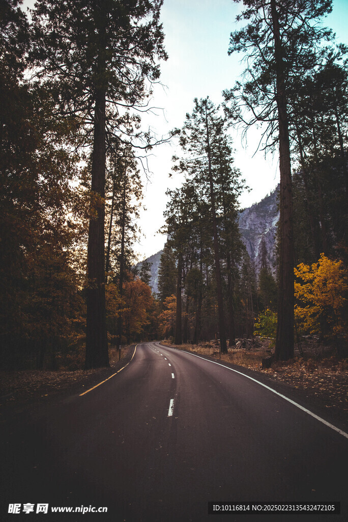 风景柏油路