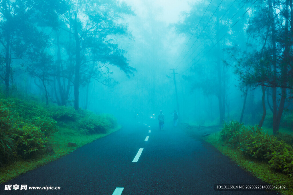 浓雾公路