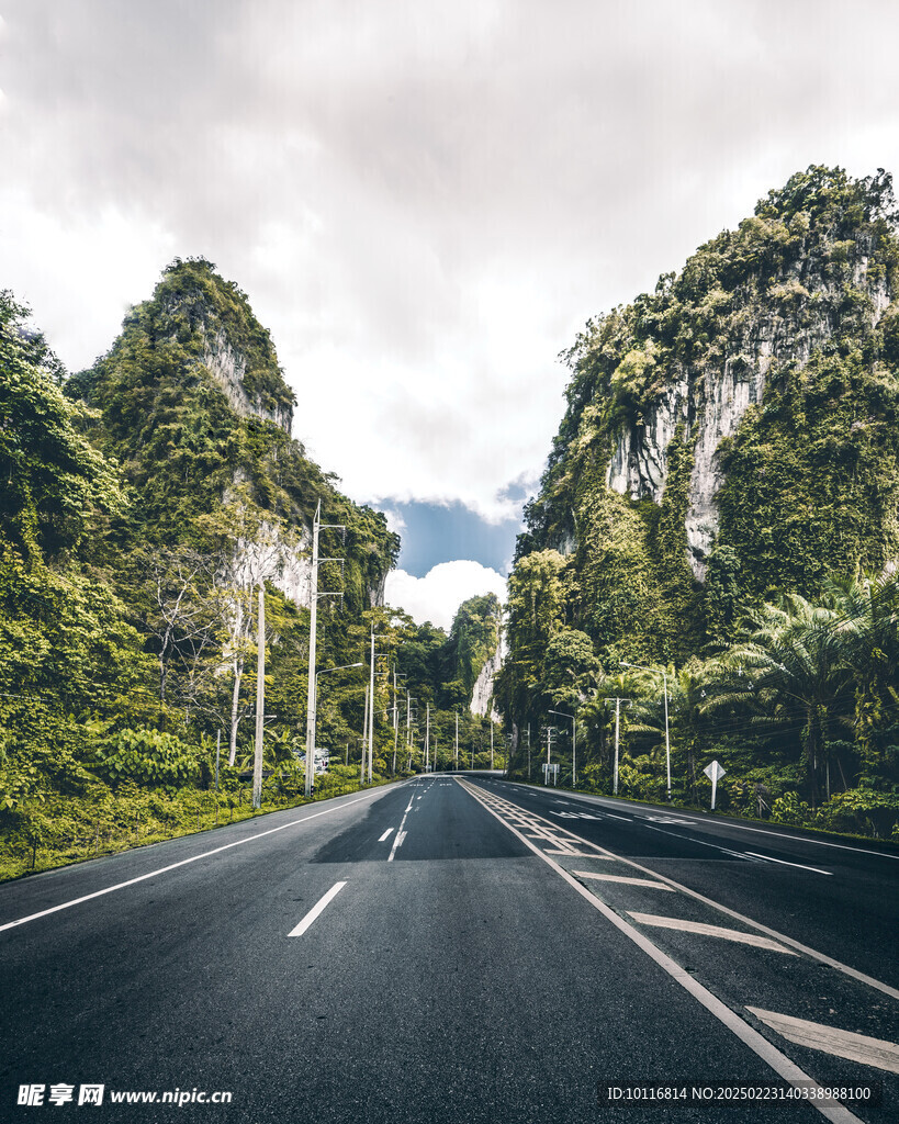 笔直柏油马路