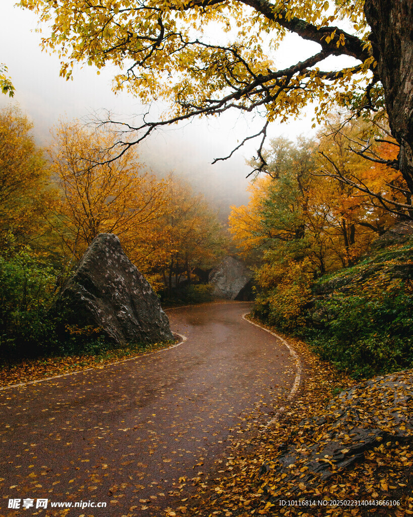 落叶山路