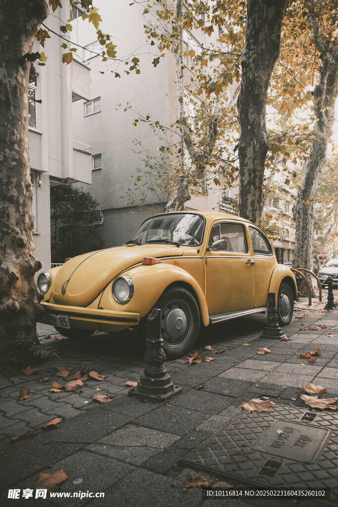 黄色小汽车