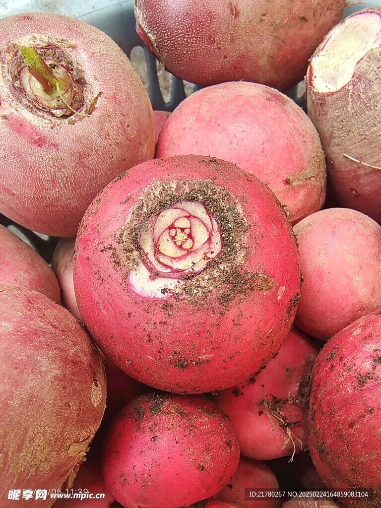 红萝卜