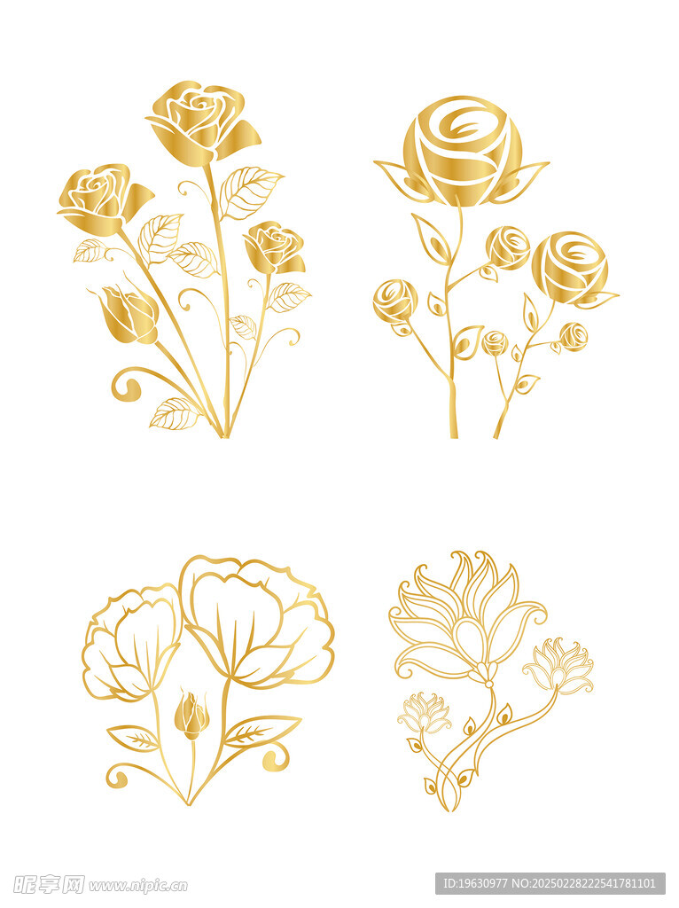 玫瑰花插画