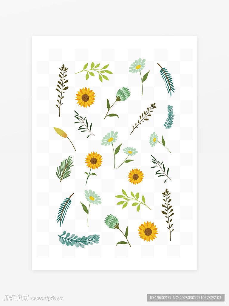 春夏手绘菊花插画