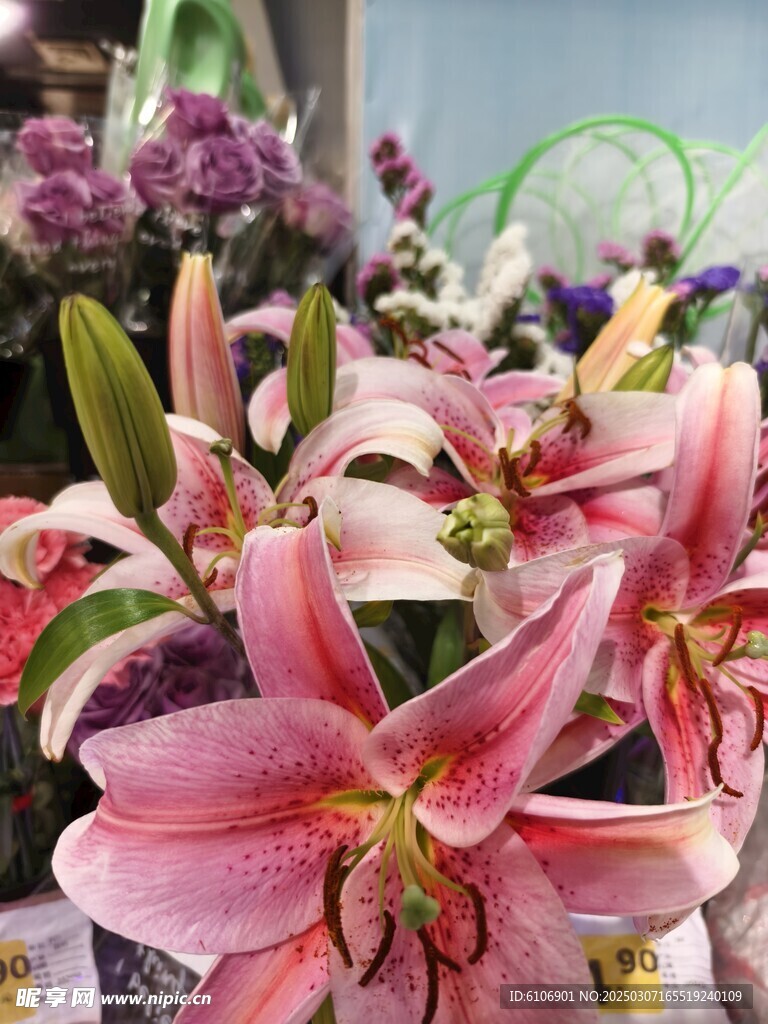粉百合花