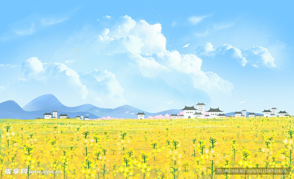 春天惊蛰油菜花海