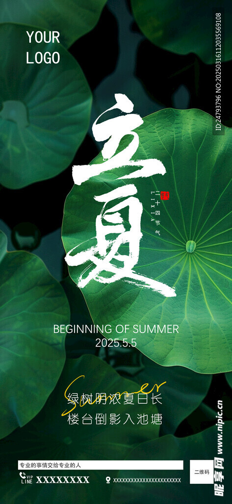 立夏  24节气海报