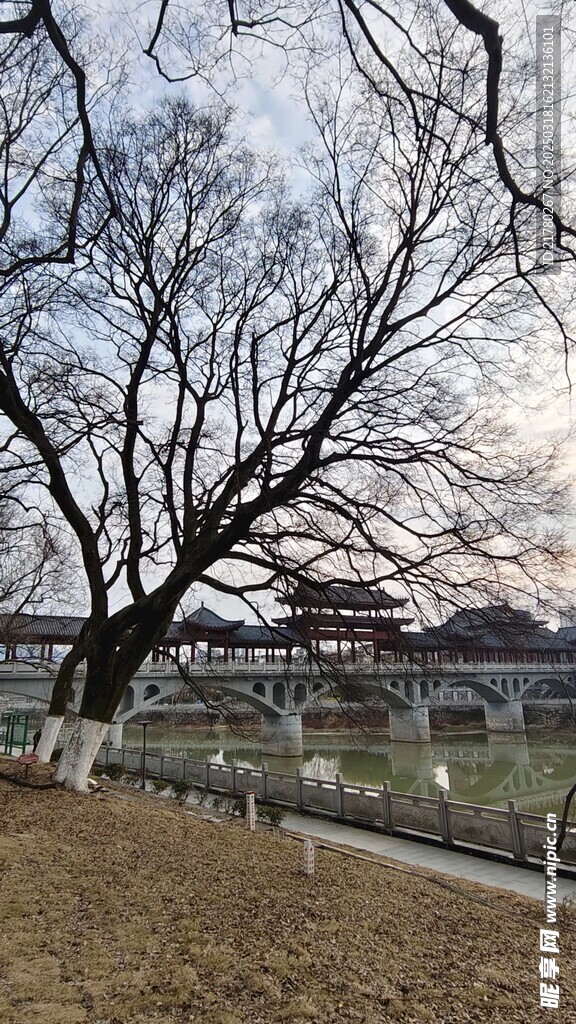 公园美景摄影