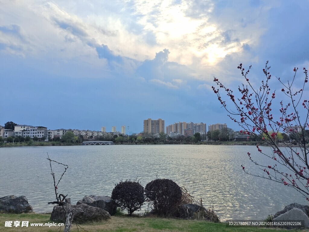 公园美景摄影