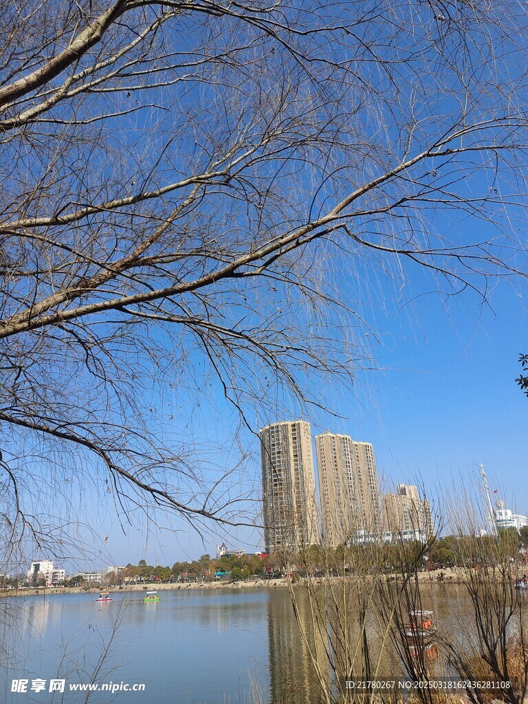 河畔风景