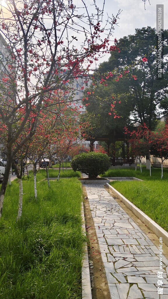 绿地花树