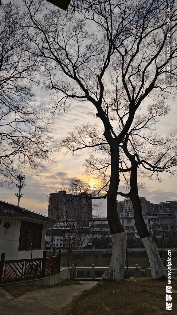 公园傍晚风光
