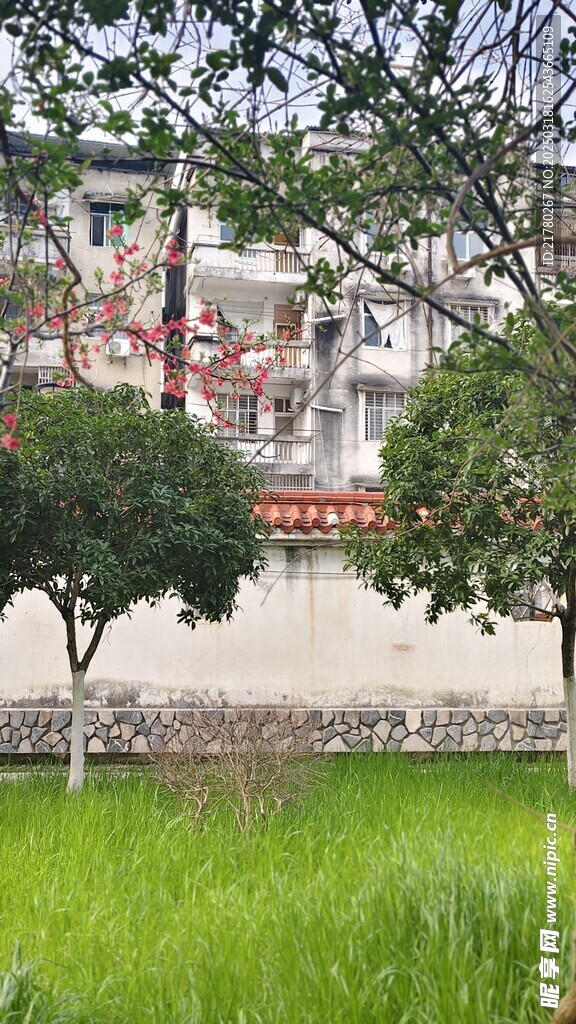 绿草绿树