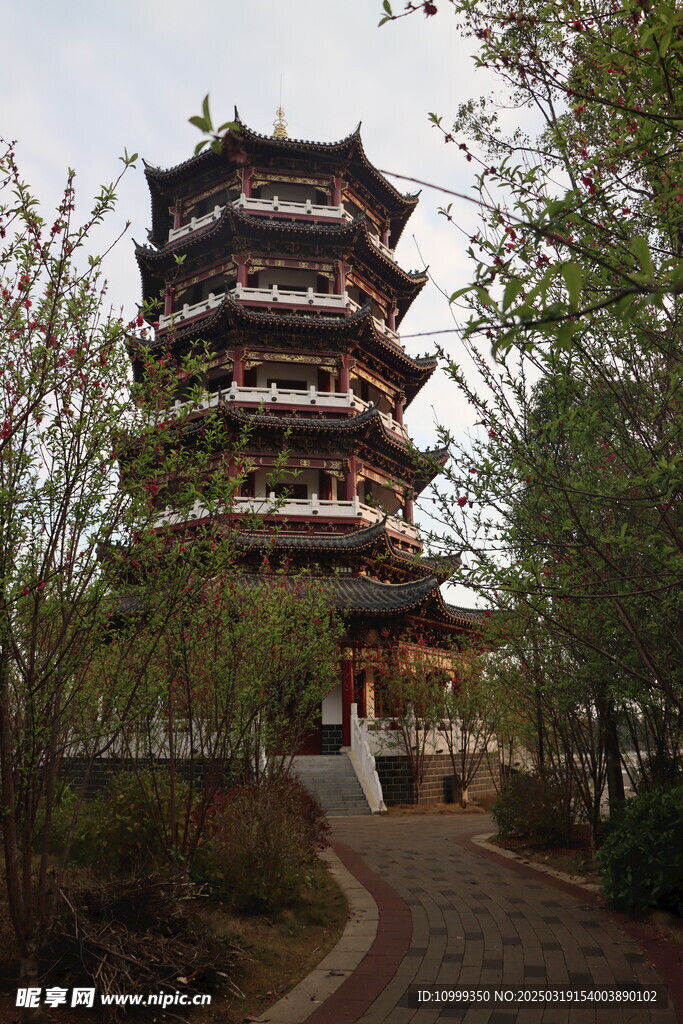 桃花