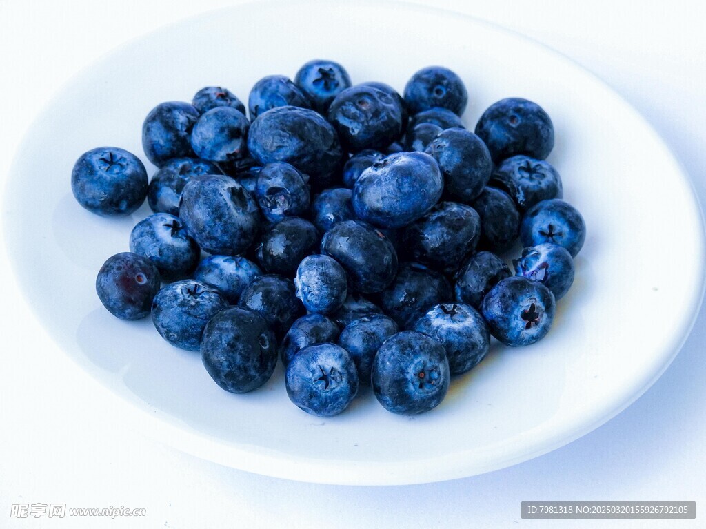 蓝莓