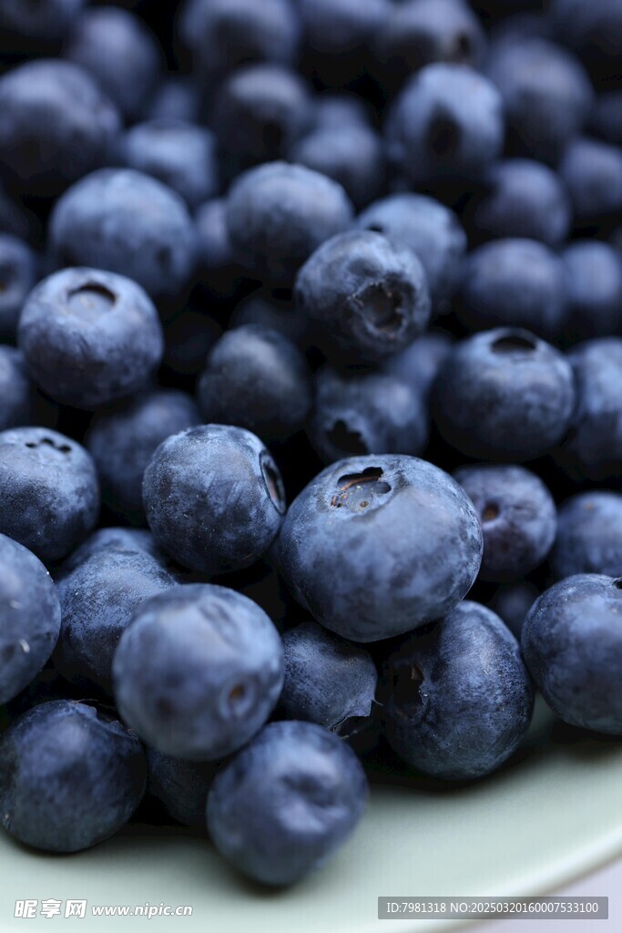 蓝莓
