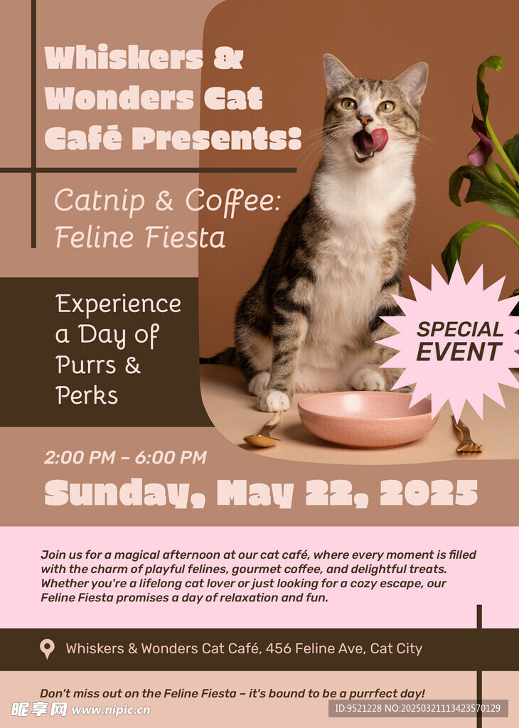 宠物猫咪护理海报