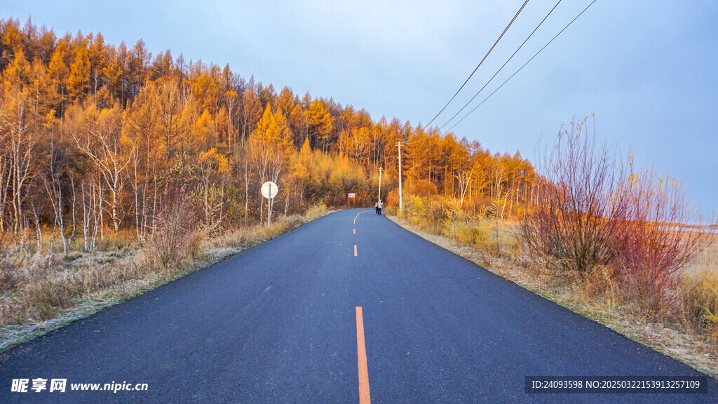 秋天清晨的公路