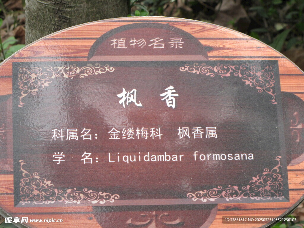 枫香标识牌