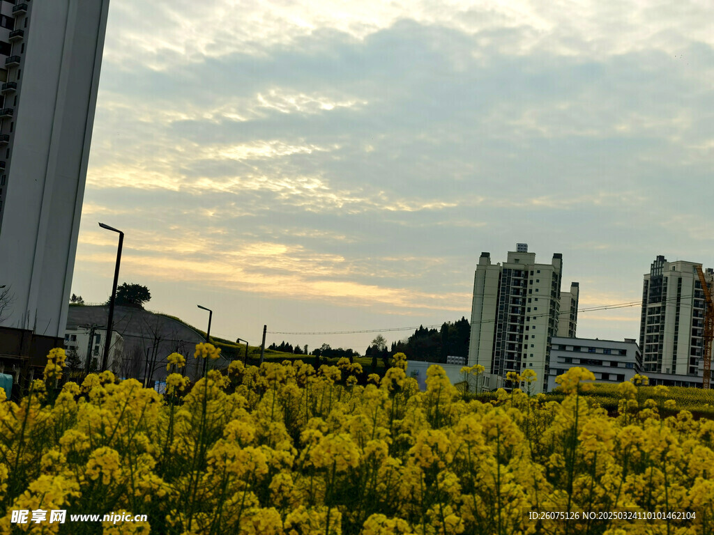 城市周边晚霞