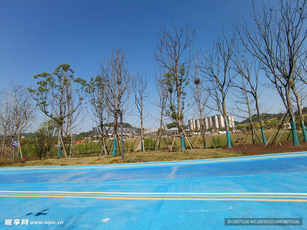 树木步道