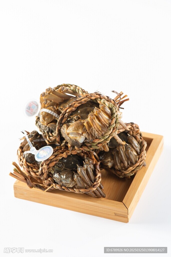 大闸蟹螃蟹