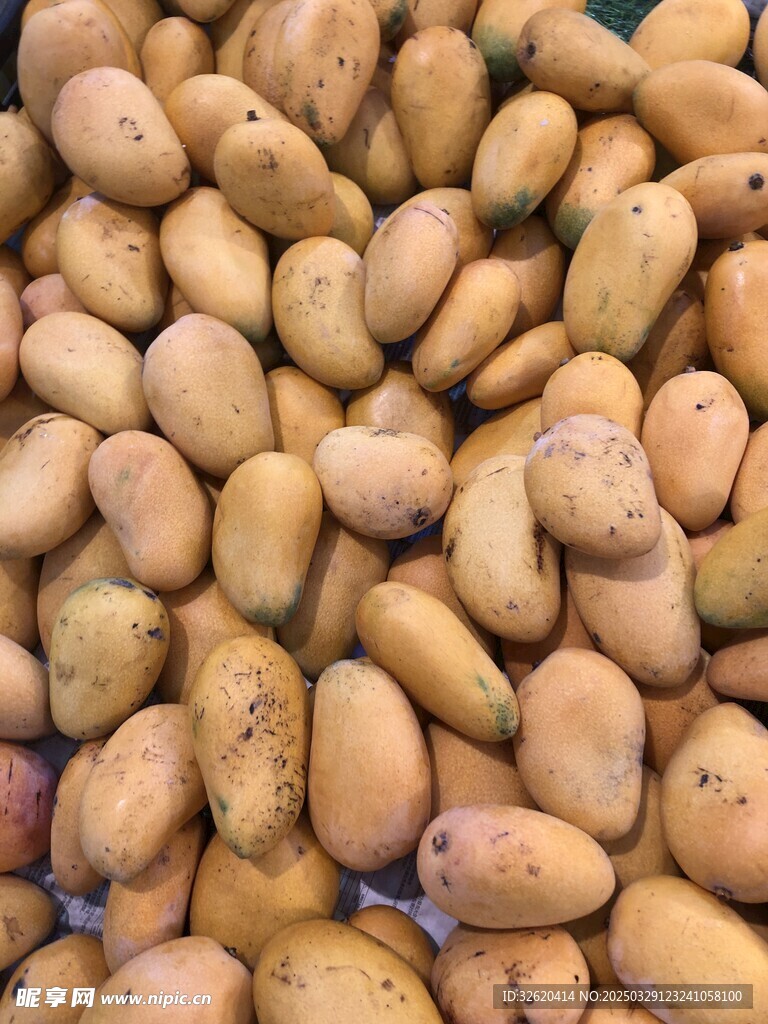 芒果 小台芒