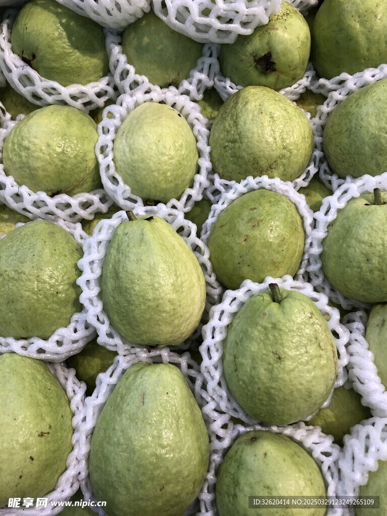 芭乐