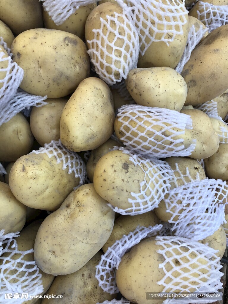 土豆