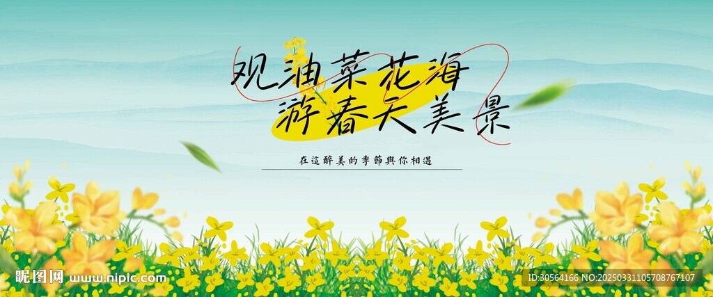 醉美油菜花活动展板