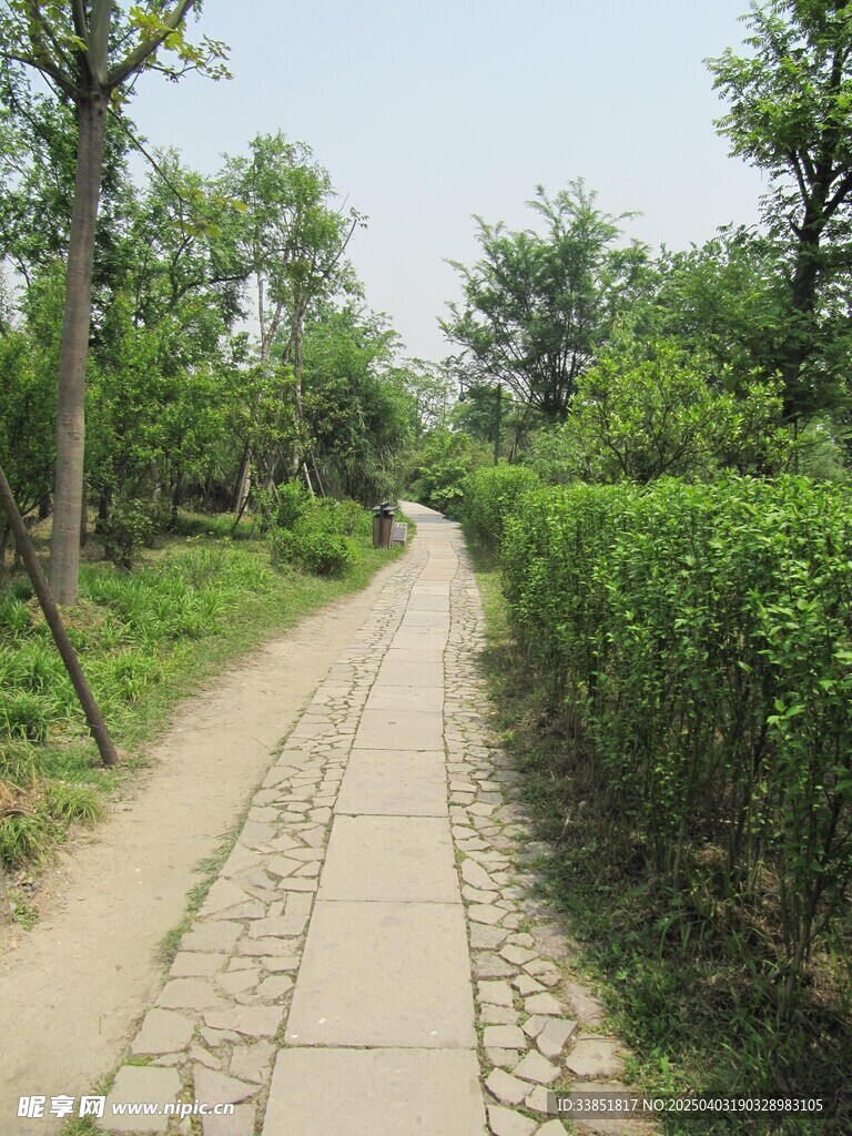 小路