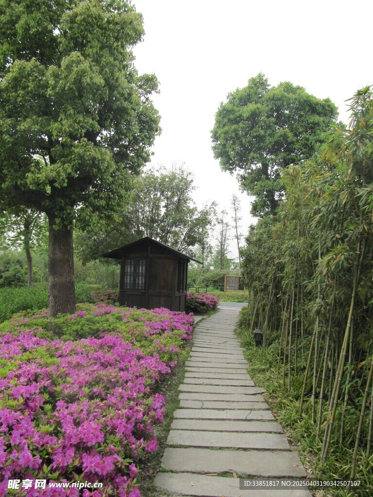 小路