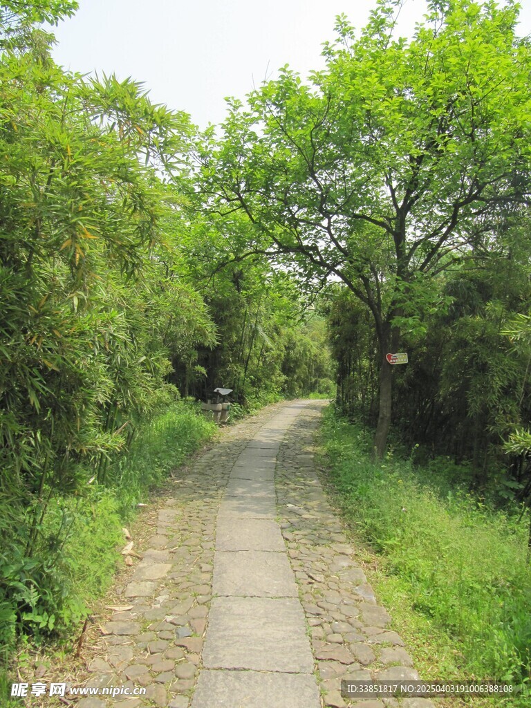 小路