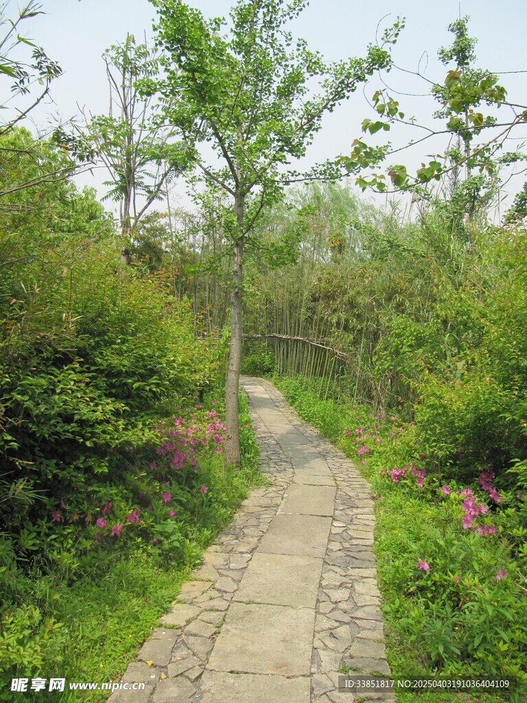 小路