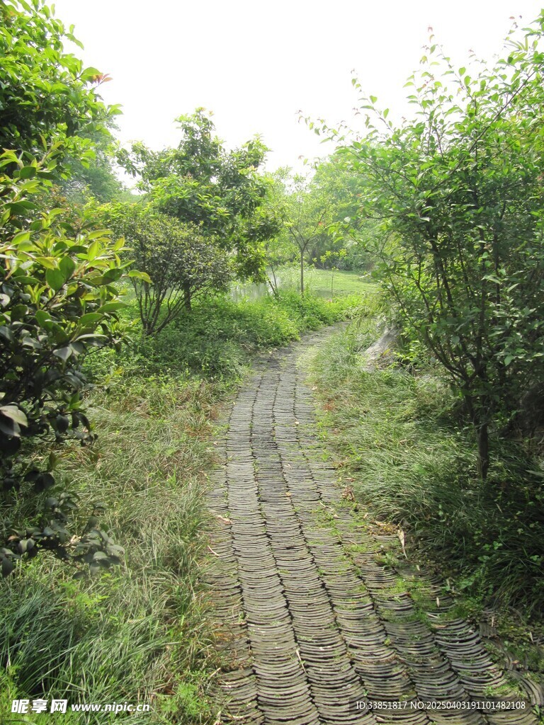 小路