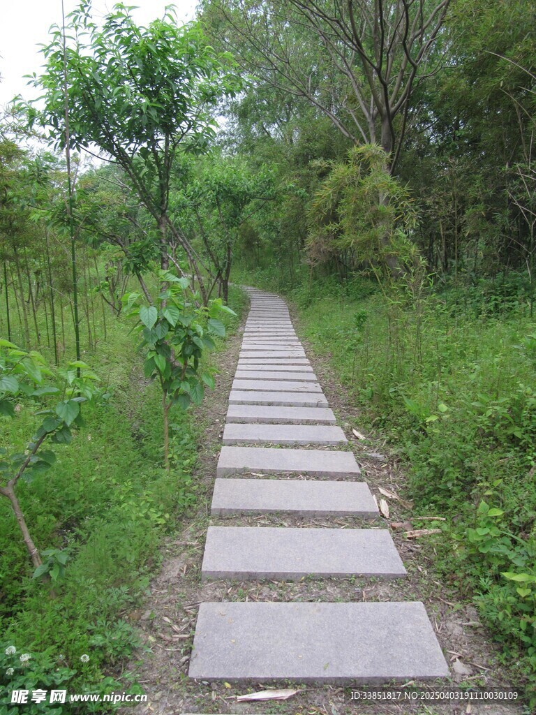 小路