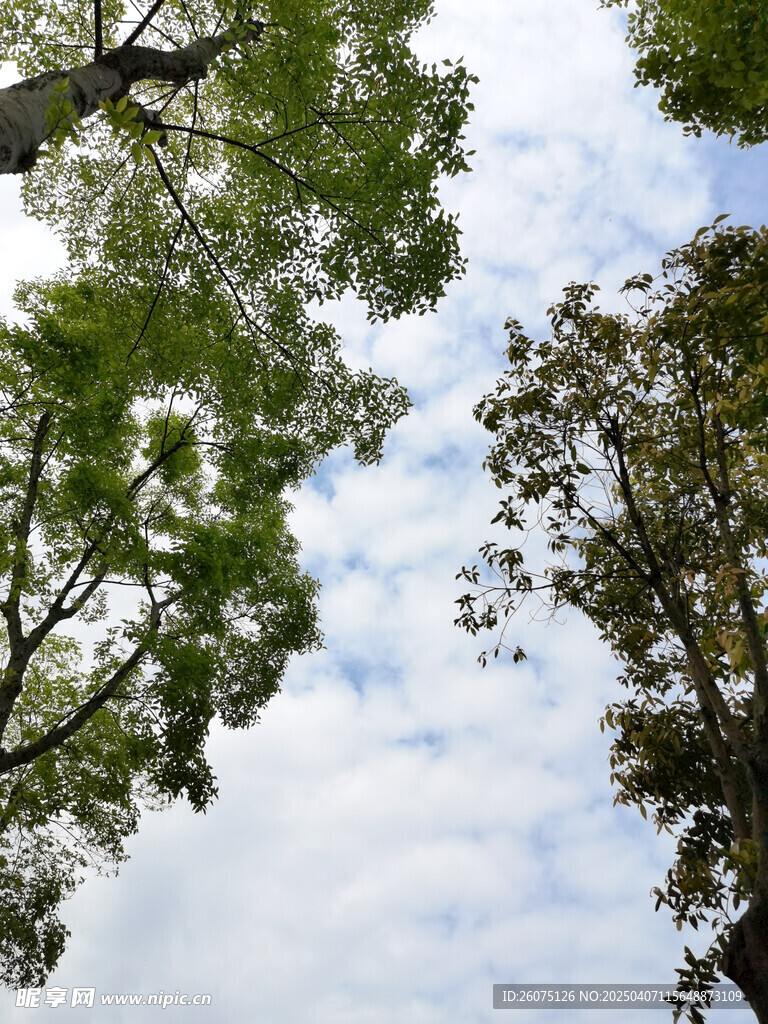 仰拍天空