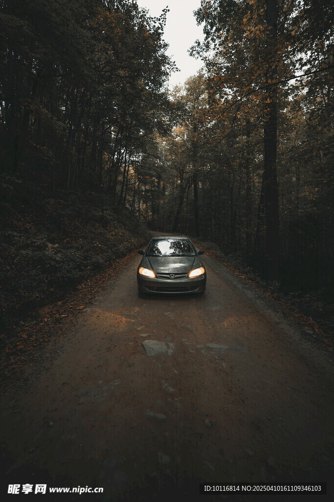 炫酷汽车