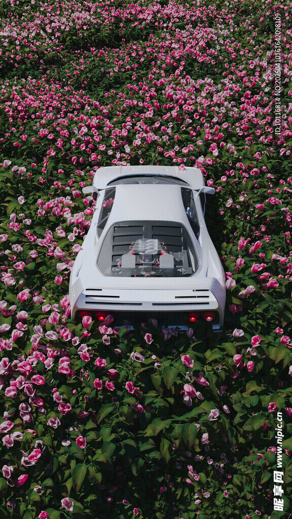 花海白色汽车