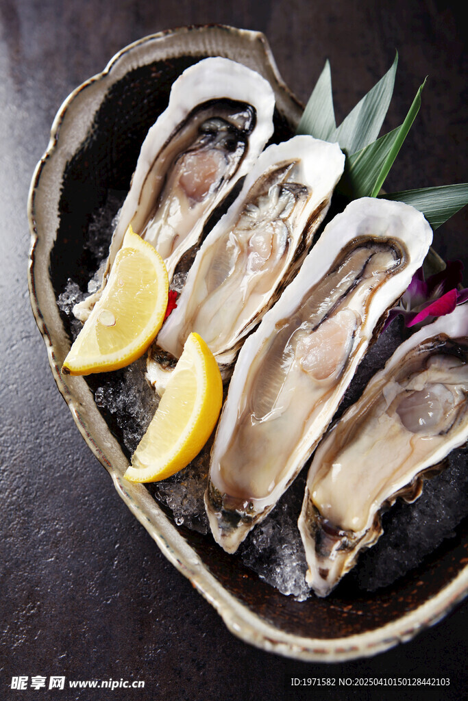 生蚝