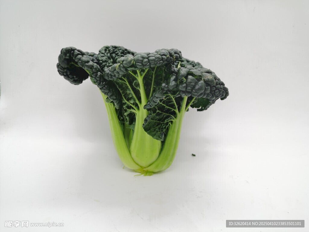 黑青菜 泡泡青