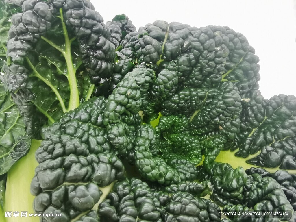 黑青菜 泡泡青