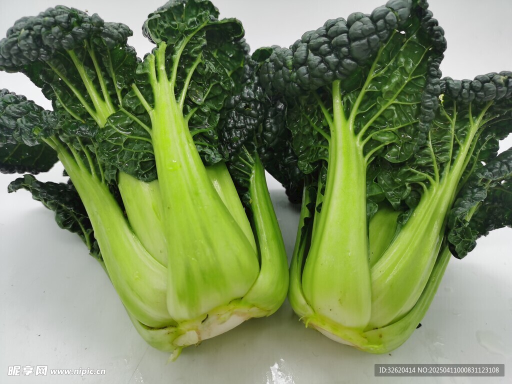 黑青菜 泡泡青