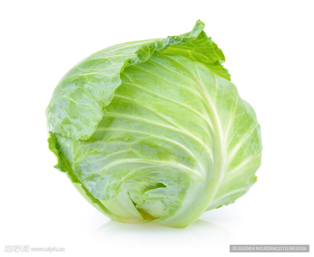 包菜