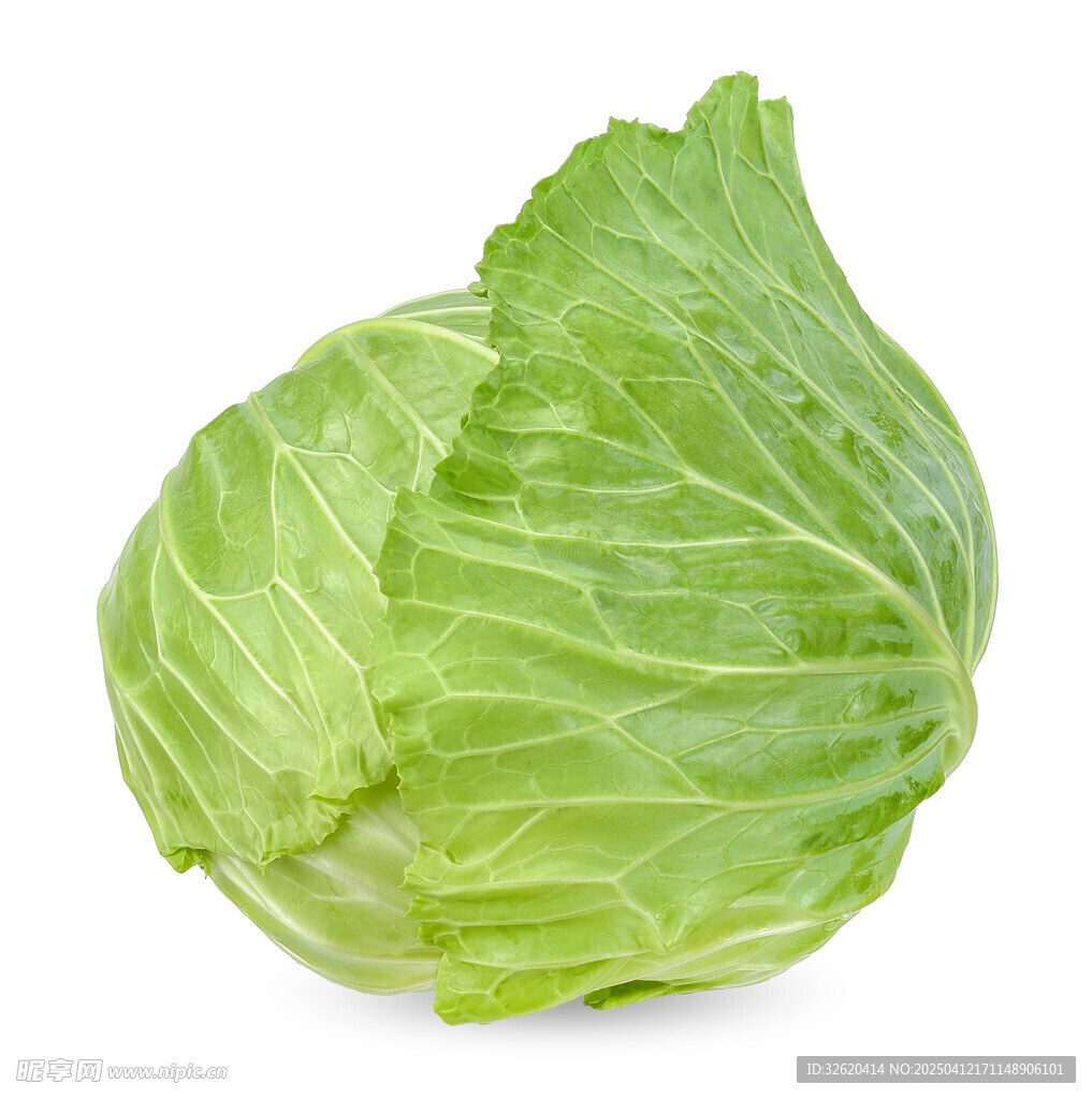 包菜